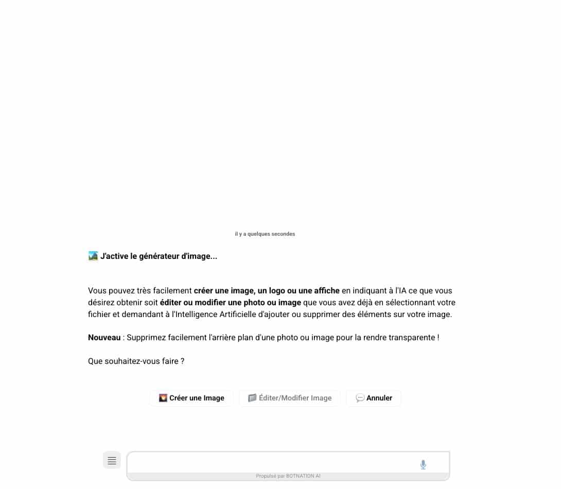 Screenshot of the Nation AI image generator interface : the conversation offers to create an image, edit an existing one or remove the background