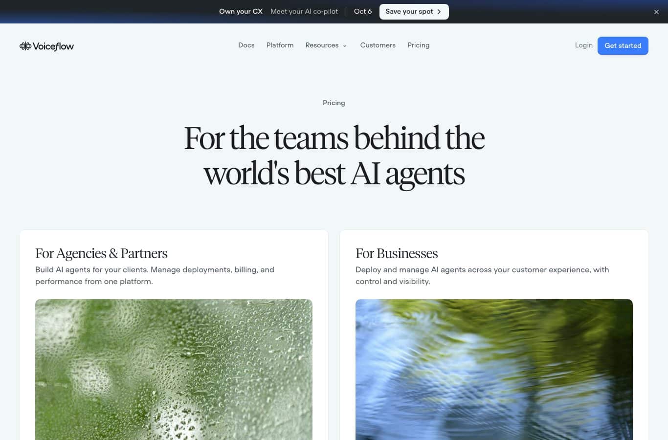 Voiceflow Pricing page: no public grid, two entries for agencies and businesses
